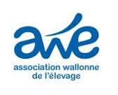 Logo AWE