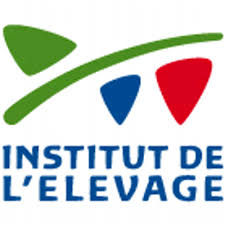 Logo Idele